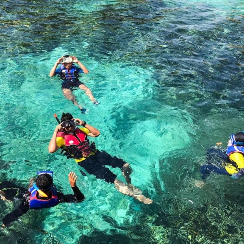 Startseite 24 145 (46)