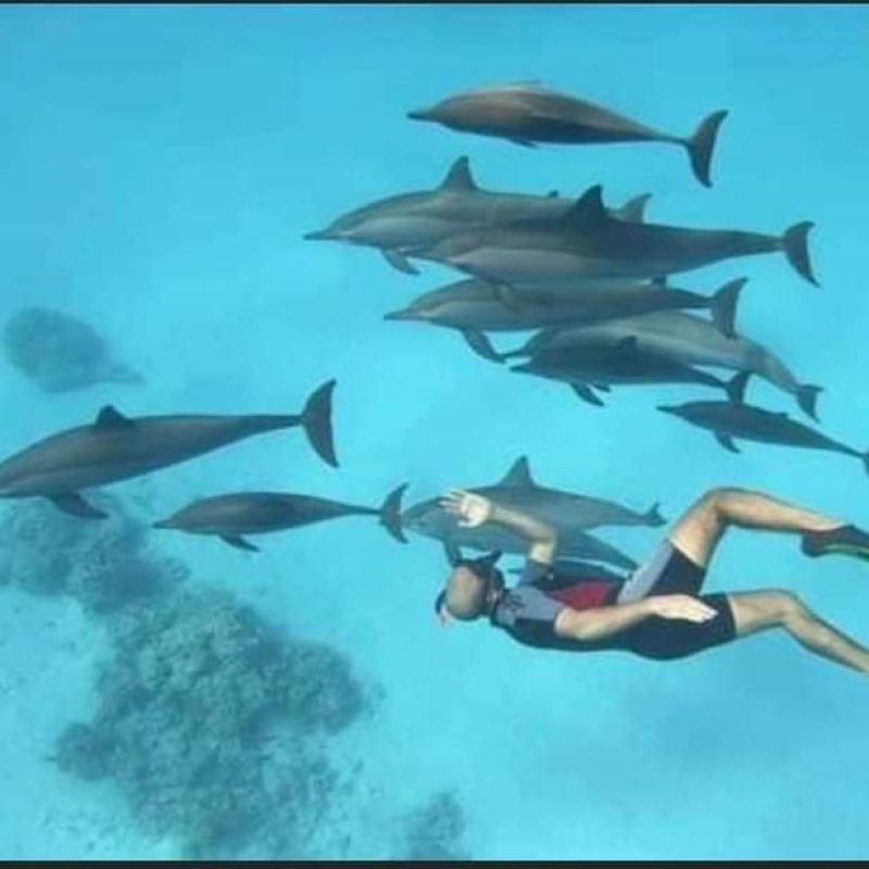 Startseite 11 FB_IMG_1683817439928